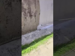 Pintura a base de agua versátil para piscinas interiores y estanques de peces