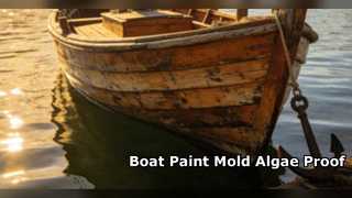Pintura para barcos de madera: moho, algas, resistente al agua de mar